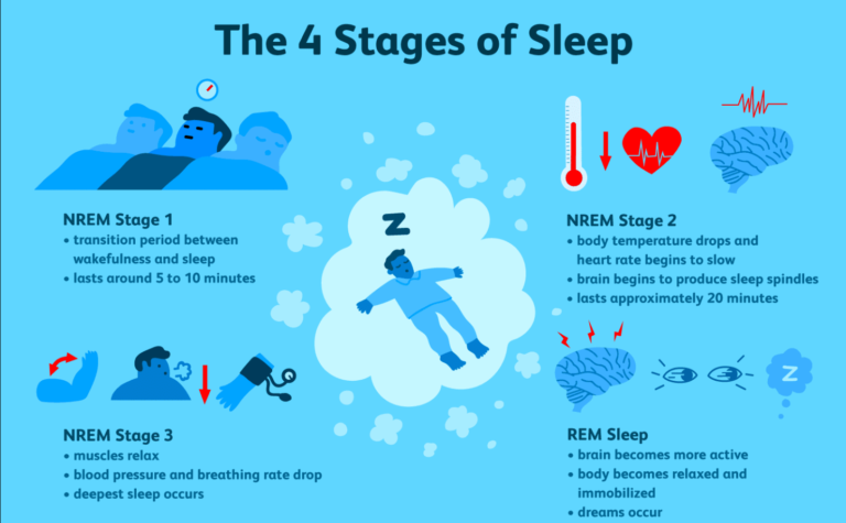 Understanding sleep stages (REM, nREM,Sleep disorders,Sleep hygeine)